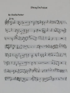 Steeplechase 12 of 26