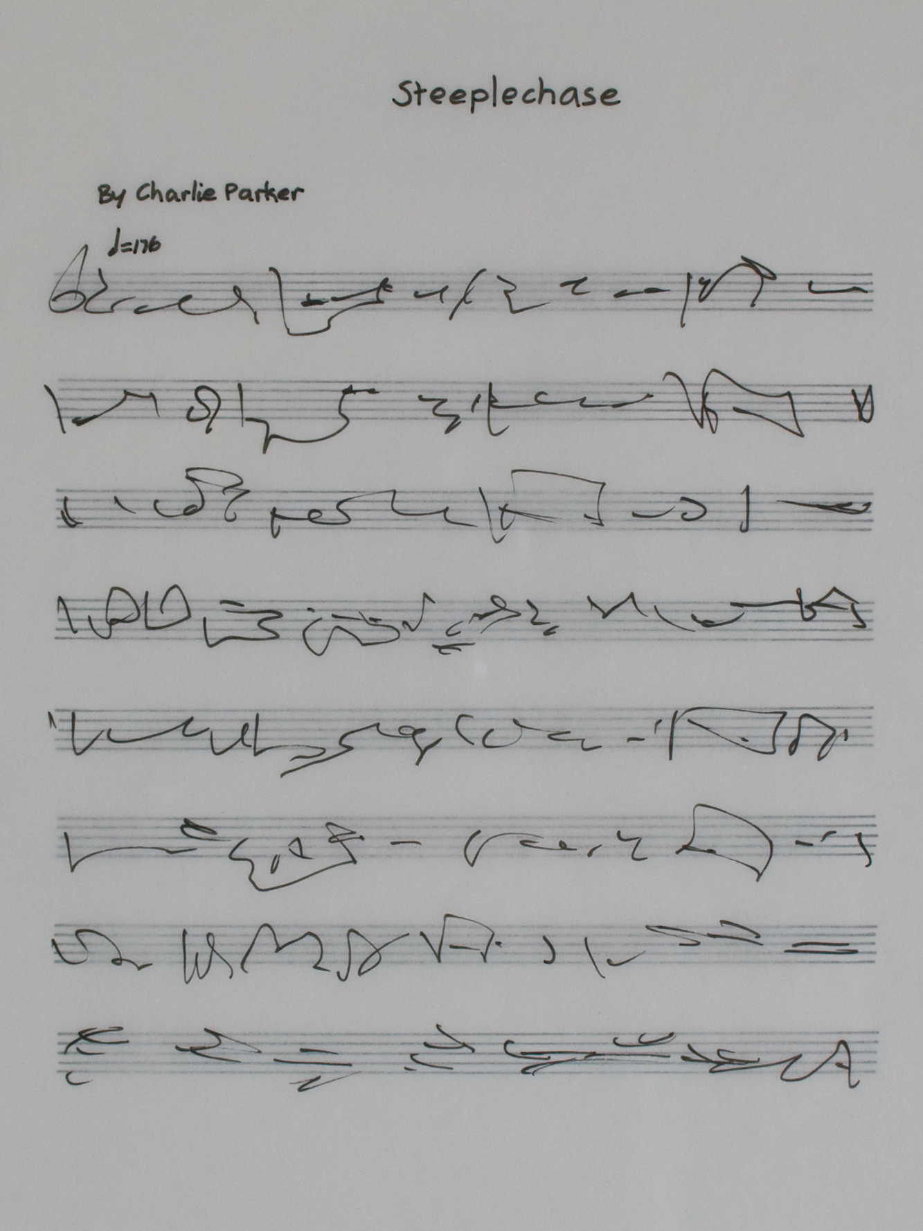 Steeplechase 26 of 26